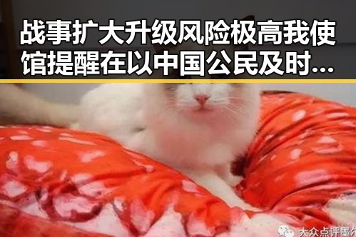战事扩大升级风险极高我使馆提醒在以中国公民及时转移避险娱乐圈明星花钱曝光对比引发吃瓜911关注