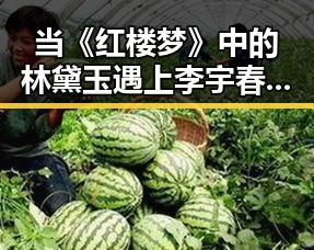 当《红楼梦》中的林黛玉遇上李宇春的追梦舞台，娱乐圈大瓜背后的奋斗与公益