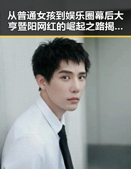 从普通女孩到娱乐圈幕后大亨暨阳网红的崛起之路揭秘他们背后的光鲜与残酷