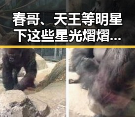 春哥、天王等明星下这些星光熠熠的明星与吃瓜夫妻娱乐圈百度云的背后趣事